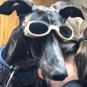 Meet your Posher, Janell